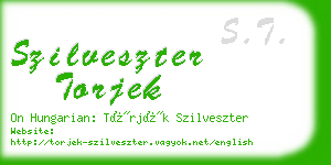 szilveszter torjek business card